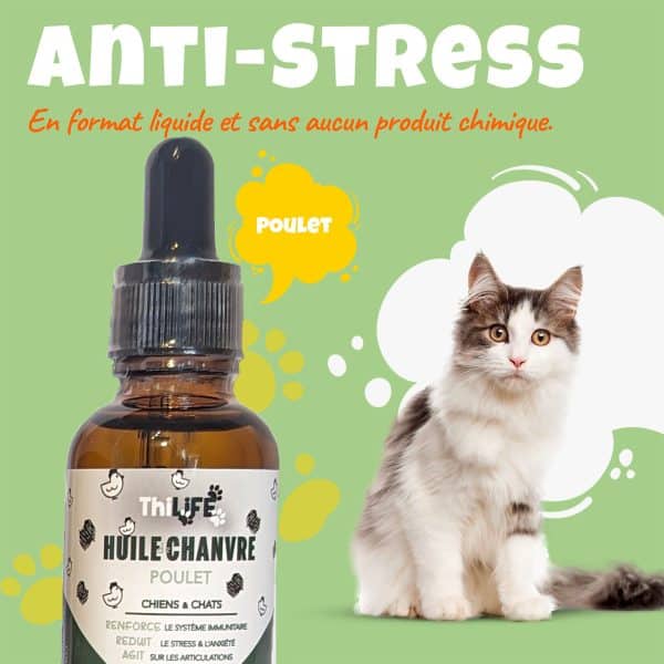 "Huile de chanvre saveur poulet Thilife, anti-stress pour chiens et chats, avec un chat serein à côté.