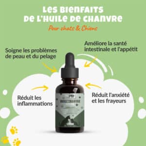 Infographie montrant les bienfaits de l'huile de chanvre naturel Thilife pour la santé des chiens et chats, incluant l'amélioration de la peau, du pelage, et la réduction de l'anxiété